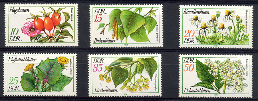 Image du document.